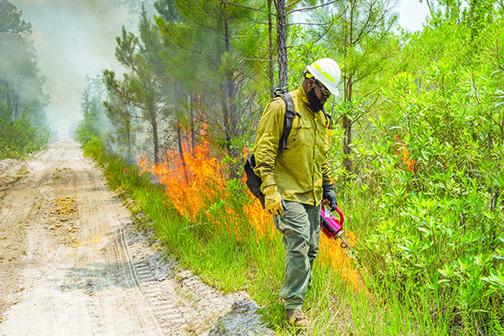 Firefighters conduct a controlled burn to control a larger forest fire in July.