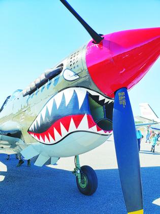 One of numerous aircraft sits at the annual Fly-In & Classic Car Show in January at the Palatka Municipal Airport. It was one of the last large events in 2020, and the 2021 edition has already been canceled.
