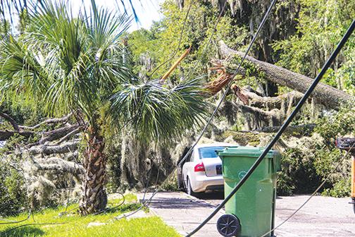 Half of a tree that split early Friday morning rests atop a vehicle in Palatka.