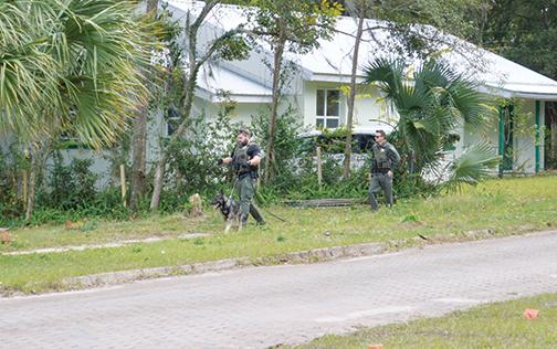 A K9 unit searches a neighborhood for the suspect.