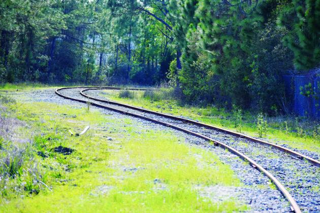  The railroad tracks near Comfort Road in Palatka. Photo by Brandon D. Oliver/Palatka Daily News