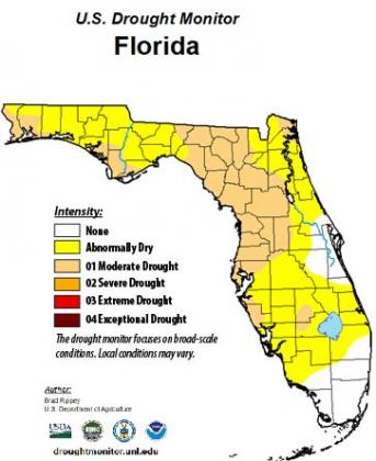 This is a map of dry weather conditions across Florida.