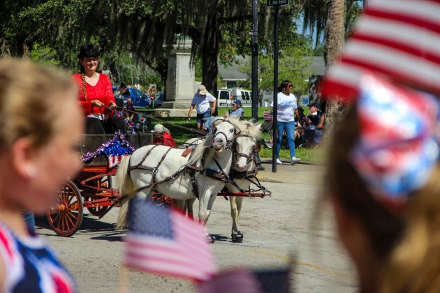 Children watch miniature ponies walk down St. Johns Avenue on Monday for Palatka's Memorial Day parade. 