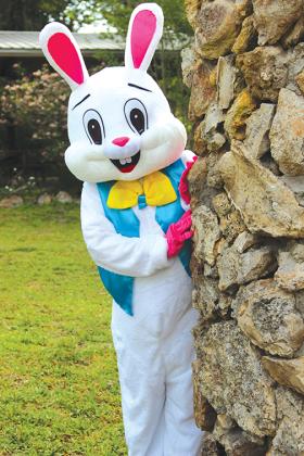 The Easter bunny, aka Amy Anderson, administrative assistant at the Ravine Gardens State Park in Palatka, dressed as the long-eared special guest last year for an event at the park.