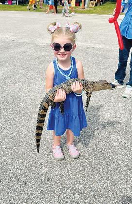 Photo submitted by Crystal Anderson-Alexander Saylor Alexander gets up close with a baby alligator at the Blueberry Festival on Saturday.