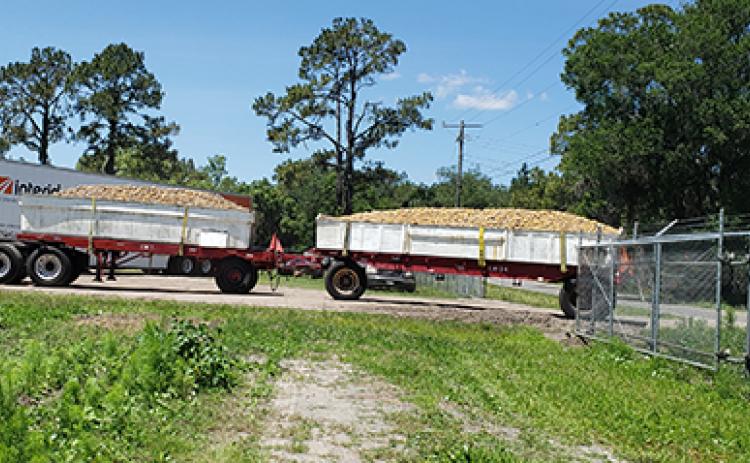 A truck filled with potatoes arrives at L&M Farms in East Palatka. Agriculture is the state’s second-leading industry.