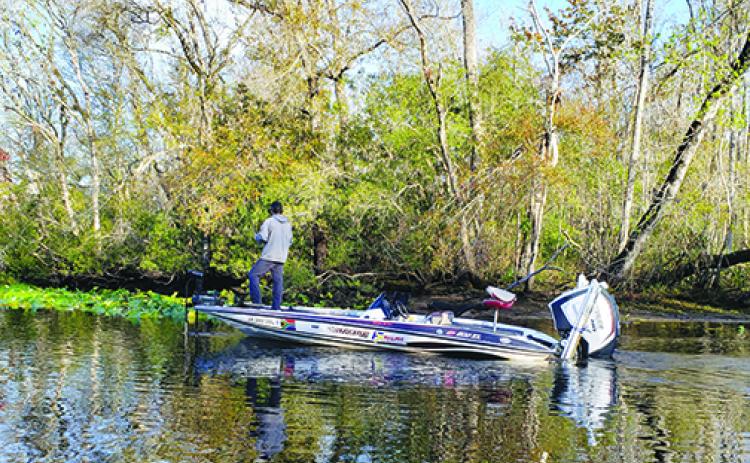 An angler looks to pick up bass during a February tournament on the St. Johns River. (WAYNE SMITH / Palatka Daily News)