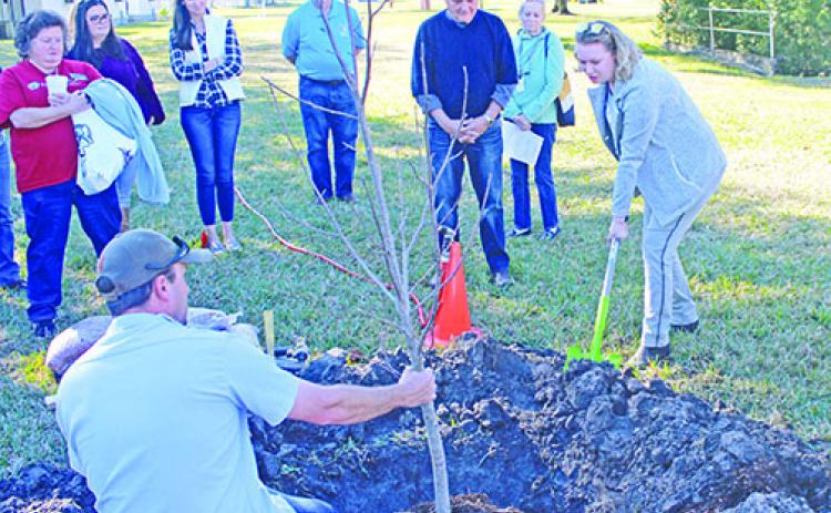 Officials from the city of Palatka and St. Johns River State College plant a tree during the 2019 Arbor Day celebration.