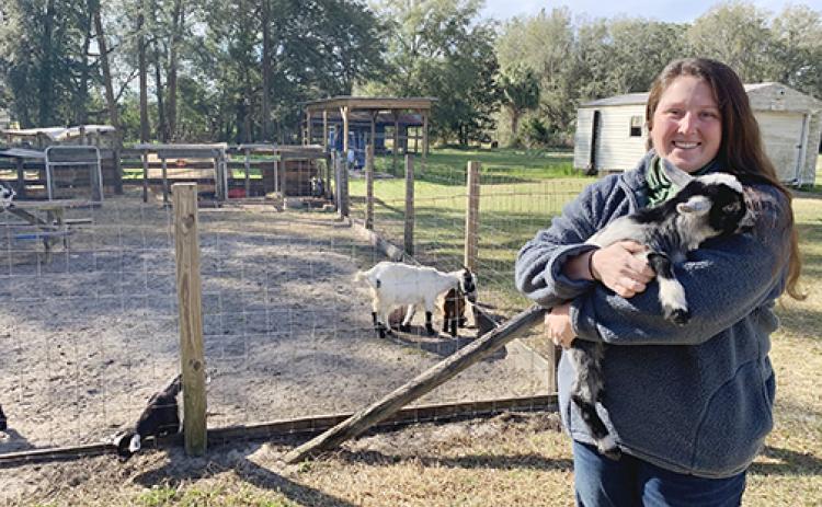 Putnam County School District Teacher of the Year Alexis Strickland-Tilton holds a goat named Faith at Palatka High’s outdoor agriculture lab.