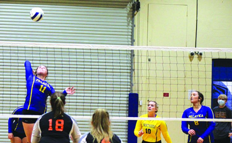 Palatka’s Chloe Barnette (11), one of a number Panthers returning this year, goes for a kill during a match a year ago against Hawthorne. (MARK BLUMENTHAL / Palatka Daily News)