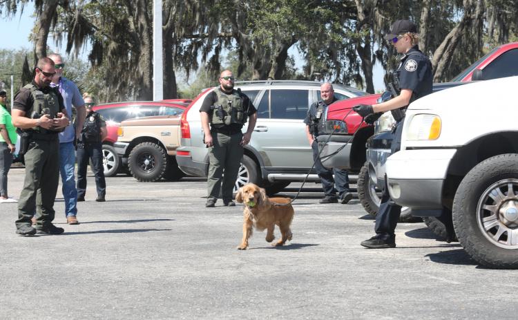 Tito the drug dog searches for contraband at Palatka Junior-Senior High School.