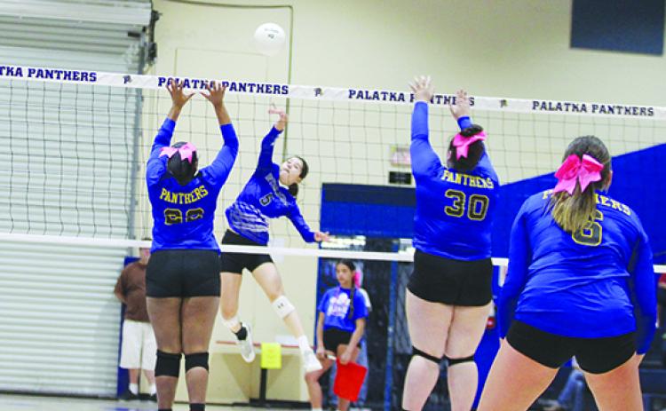 Interlachen’s Brianna Webber goes high for a kill attempt against Palatka’s Tanaja Martin (left) and Cailin Croft during the third set of Wednesday’s match at the John L Williams Athletic Center. (MARK BLUMENTHAL / Palatka Daily News)