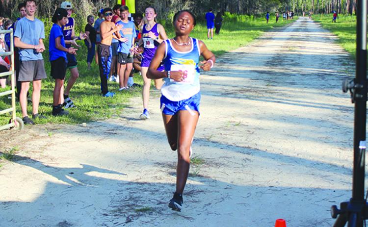 Palatka’s Ymira Passmore attempts to complete an incredible career by trying to reach the FHSAA 2A championship with earning a spot from the Region 1-2A championship Thursday. (MARK BLUMENTHAL / Palatka Daily News)