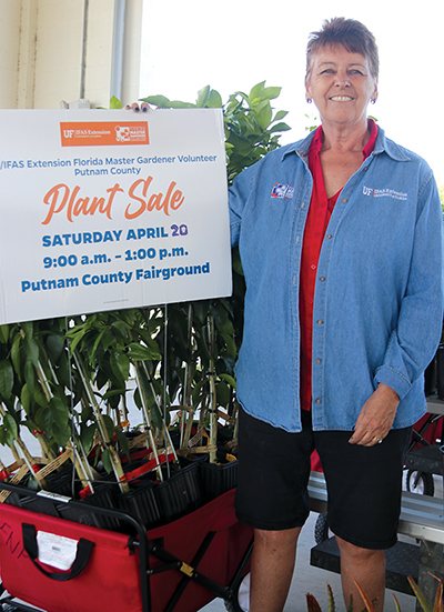 TRISHA MURPHY/Palatka Daily News – Joy A. McGuirl-Hadley stands next to a wagon filled with some of the Sugar Belle orange trees that will be available at the Putnam County Master Gardeners plant sale Saturday.