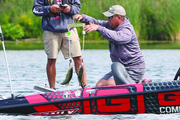 Cliff Prince culls his bass on Lake Cayuga, N.Y., during Saturday’s third round of the Bassmaster Elite Series tournament. (Special to the Daily News)