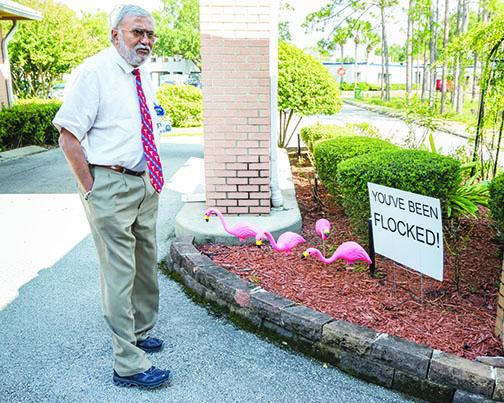Dr. Anand Kuruvilla looks at the pink flamingoes placed in front of his office. 