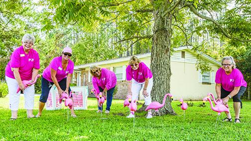 Members of Pink Out Putnam stand with the plastic flamingoes they're placing in lawns throughout October to raise money for breast cancer awareness.