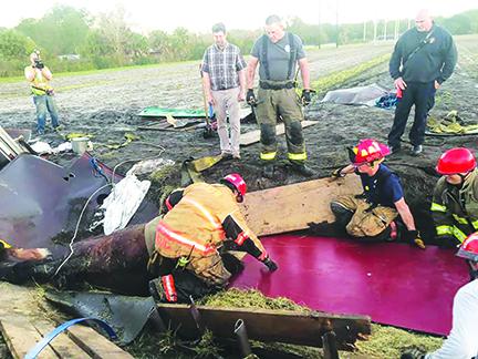 Officials work to free two horses from a wreck Friday morning.