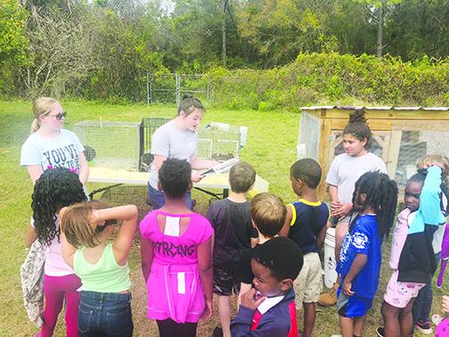 Jenkins students teach first-graders about rabbits during Farm Day, which was thought up by one of a Future Farmers of America student at the middle school.