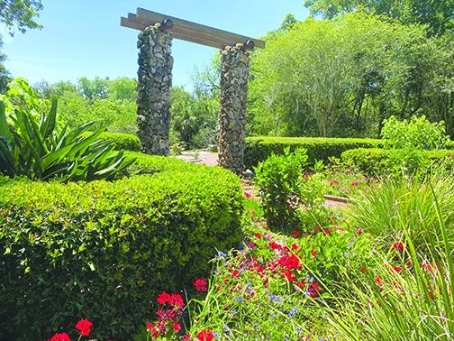 Flowers are blooming at Ravine Gardens State Park, showing despite construction, there is still nature to enjoy at the park.