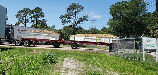 A truck filled with potatoes arrives at L&M Farms in East Palatka. Agriculture is the state’s second-leading industry.