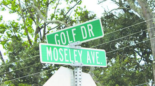 The city of Palatka is looking to apply for grants to improve drainage for homes in three areas, including near Golf Drive and Moseley Avenue.