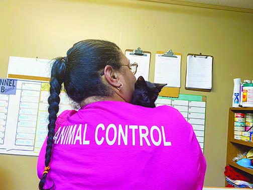 Putnam County Animal Control Supervisor Lisa Suarez cuddles a kitten Monday. 