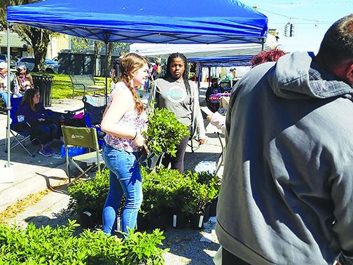 Members of a local youth group carry out the sale of an azalea plant during last year’s Florida Azalea Festival in Palatka.