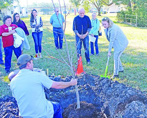 Officials from the city of Palatka and St. Johns River State College plant a tree during the 2019 Arbor Day celebration.