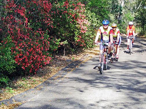 North Florida Bicycle Club members bike down a Ravine Gardens State Park path. 