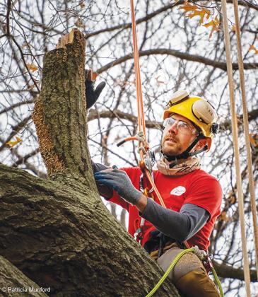 Nick Markley is one of the event organizers for Treeapalooza, a three-day event that took a week to set up on property off of West State Road 20.