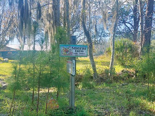 Officials say Craig Sherar, the town attorney for Pomona Park, was found dead at his 147 Pine Tree Road property in East Palatka.