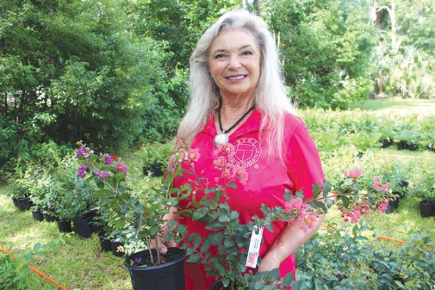 Dee Parker of the Woman’s Club of Palatka shows some of the azalea plants during last year’s Azaleas For The Community sale. 