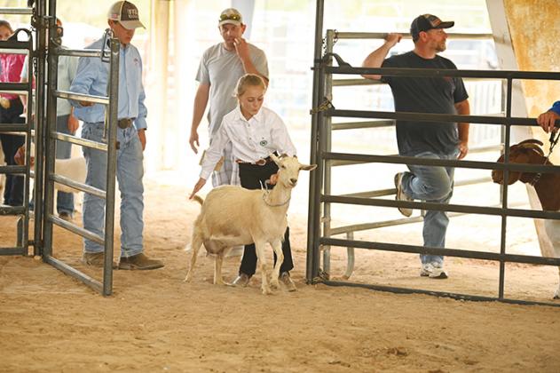 Kelley Smith Elementary School fifth-grader Kyla Rogero guides Penny during the goat show at the Putnam County Fair on Saturday.