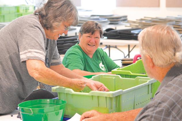 Judy Johnson, left, grabs a few more blueberries from a bin as she, Sharon Finch, center, and Tom Johnson, right, volunteer their time to help prepare the berries for the Bostwick Blueberry Festival set to occur Saturday.