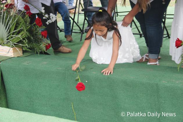 Jose Mayo Lara Jr.’s older sister, Jocelyn Lara, 6, drops a red rose onto her brother’s casket at Eden Cemetery in Crescent City. (TRISHA MURPHY/Palatka Daily News)