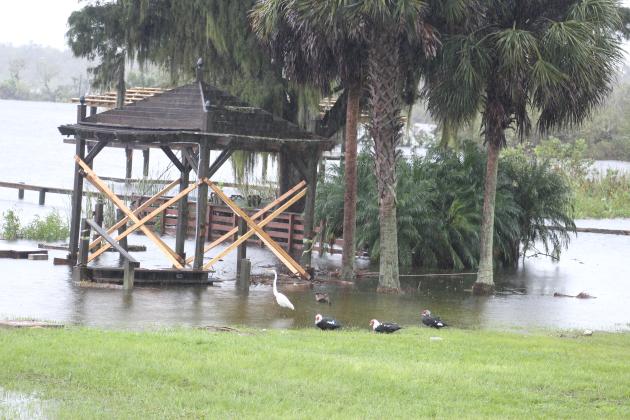 Photo courtesy of Mary Kay Wells. A gazebo is flooded Thursday afternoon. 