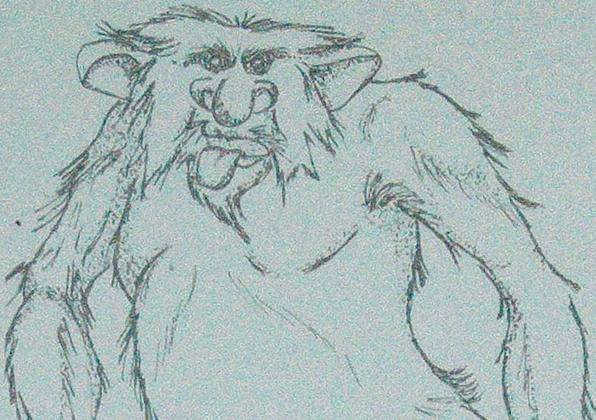 Palatka Daily News file art. The Bardin Booger has been described as a hairy ape or bear-type creature, a troll, ghosts and even the Bardin Light. Those descriptions gave Daily News artist Lynette L. Walther a good idea of what he might look like. 