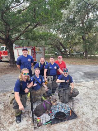 Fire rescue personnel stand beside a dog that they rescued from an Interlachen house fire Tuesday. Photo courtesy of Putnam County Fire Rescue.
