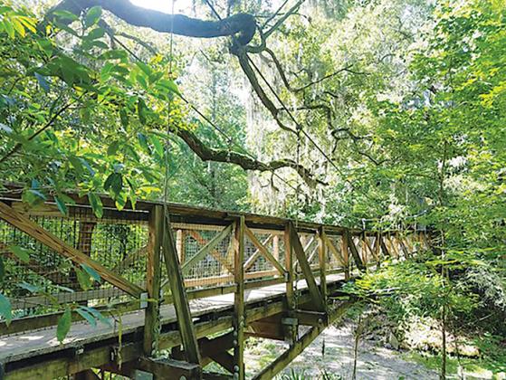 A wooden bridge is suspended in Ravine Gardens State Park in Palatka, where there will be an Ocala to Osceola Expidition kickoff later this month.