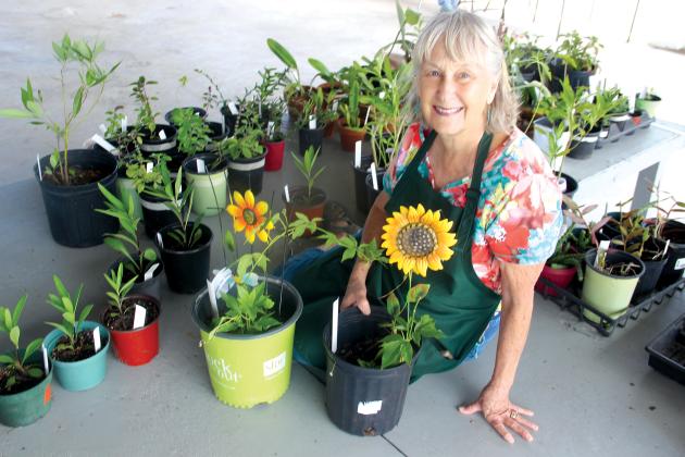 Mary Ann Anderson of Mt. Royal has been a Putnam County Master Gardener since 2014. She is donating 165 plants, including ornamentals, herbs, house plants, orchids, lemongrass and ginger to this year’s plant sale at the Putnam County Fairgrounds this Saturday. (Photos by Trisha Murphy / Palatka Daily News)
