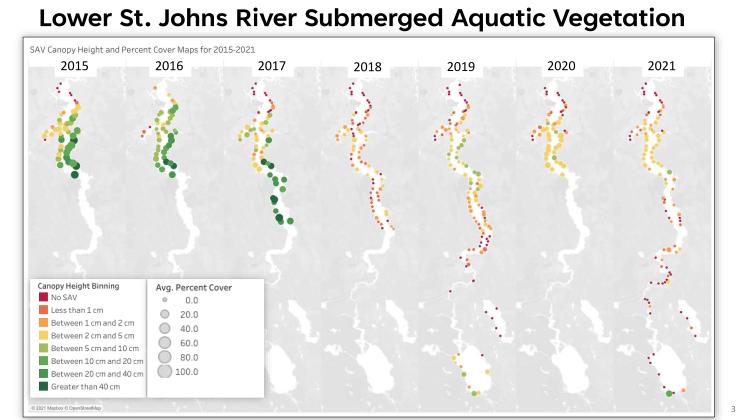 A map included in a St. Johns River Water Management District presentation shows how the river grasses have evolved over time. (Courtesy of Erich Marzolf/St. Johns River Water Management District)