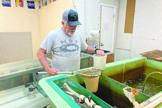 Jimmy Darby works on the fish tanks on the next-to-final day of Messer’s Bait and Tackle business on May 12. (MARK BLUMENTHAL / Palatka Daily News)