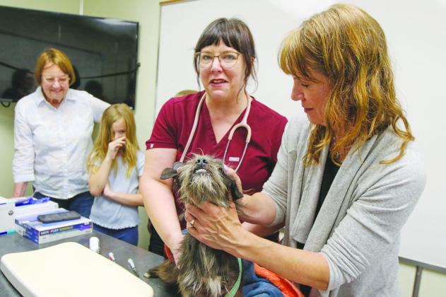 Plantation Animal Hospital veterinarian Elizabeth Vodevic (center) and office manager Lana Smith vaccinate a dog at the Putnam County Governmental Complex on Friday. Forty-one dogs were adopted during Friday’s proceedings. (SARAH CAVACINI / Palatka Daily News)