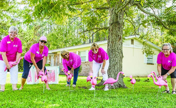 Members of Pink Out Putnam stand with the plastic flamingoes they're placing in lawns throughout October to raise money for breast cancer awareness.