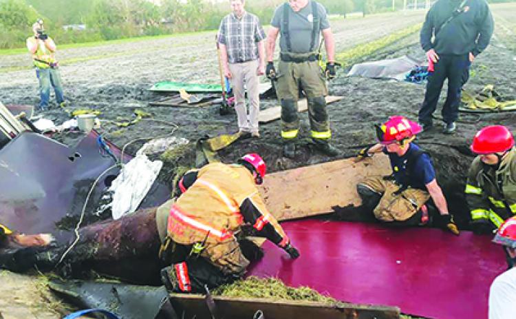 Officials work to free two horses from a wreck Friday morning.