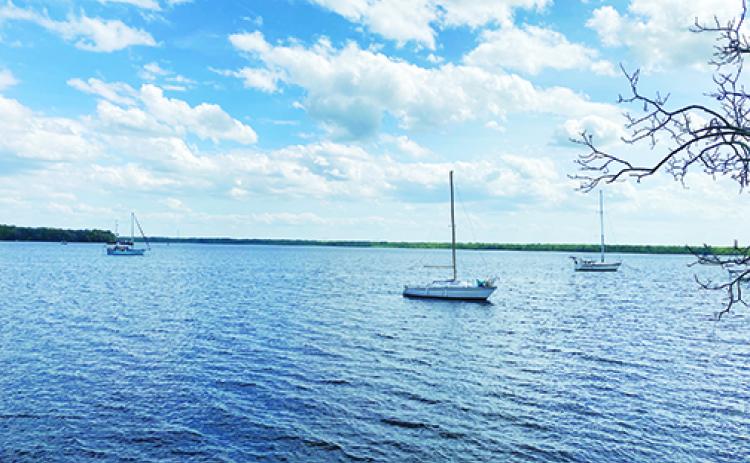 The Palatka riverfront and St. Johns River Center will be the site of Boating Safety Day on Saturday for anyone wishing to brush up on safety knowledge and get a boating safety ID card.