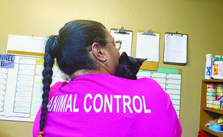 Putnam County Animal Control Supervisor Lisa Suarez cuddles a kitten Monday. 