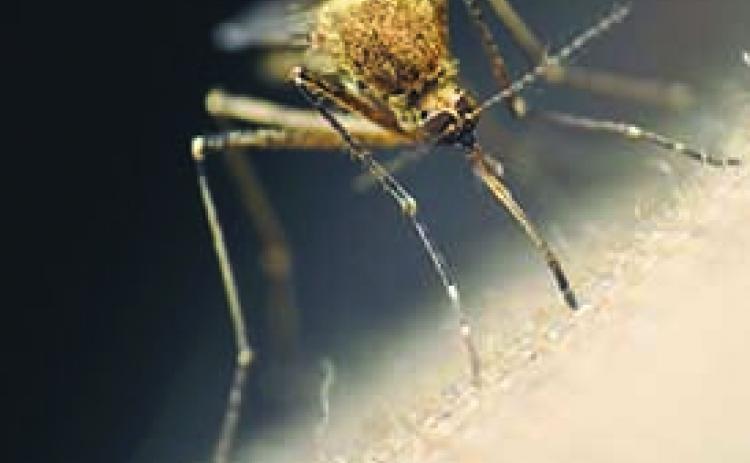 Health officials say residents should protect themselves against mosquitoes.