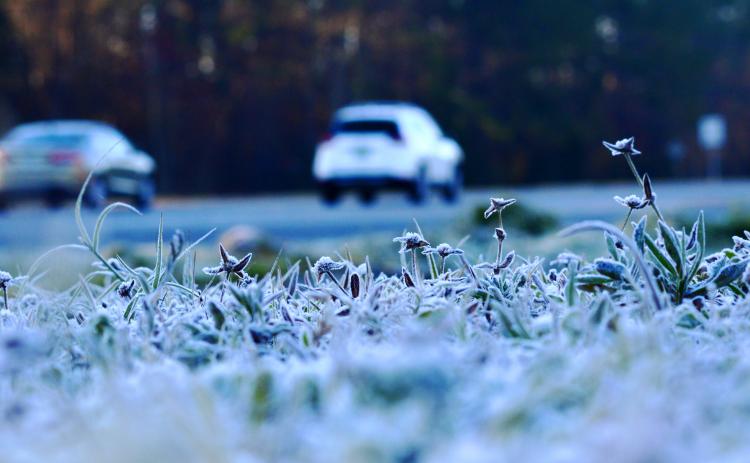Frost glistens across grass alongside U.S. 17 early Monday morning in Palatka. Residents of Putnam County awoke to below freezing temperatures Monday morning. CASMIRA HARRISON/Palatka Daily News